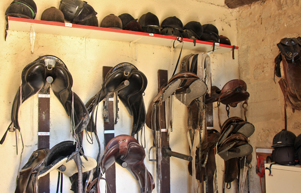 provence saddles